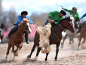 В Алтайском крае появится спортивная федерация по козлодранию