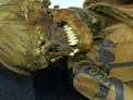 Мумию воина Алтая с Укока покажут в Краеведческом музее Новосибирска