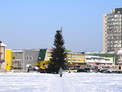 В Белокурихе установили новогоднюю ель. Как будут праздновать в городе Новый 2023 год!