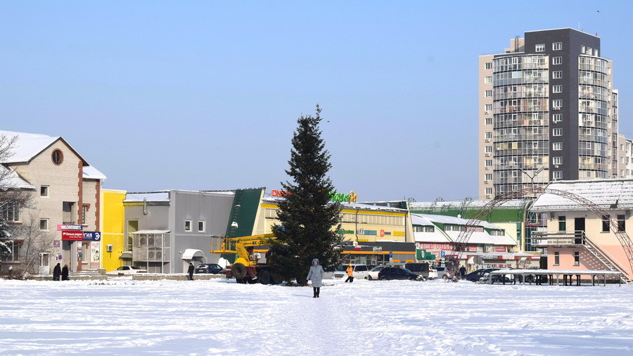 В Белокурихе установили новогоднюю ель. Как будут праздновать в городе Новый 2023 год!