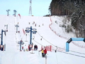 Два Алтая следующей зимой примут чемпионат России по горным лыжам
