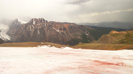 Из-за цветения водорослей, ледник в Республике Алтай окрасился в розовый и красный цвет