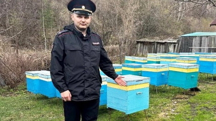 В Белокурихе полиция задержала молодых туристов, которые решили полакомиться местным мёдом (видео)
