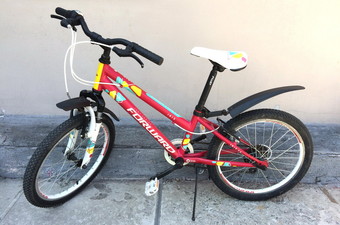 Велосипед детский Forward Iris 20