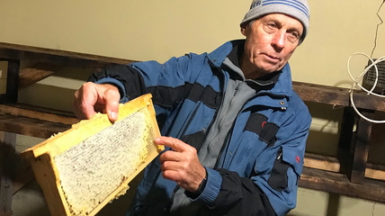 Пчеловод из Белокурихи рассказал как завлечь покупателей