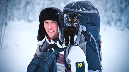 Кошка-путешественница трижды покорила горы Алтая и готовятся к восхождению на перевал Дятлова