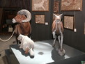 Фонд Национального музея Горного Алтая пополнился фигурами редких животных