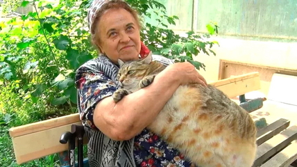 В Бийске умер самый толстый кот России по имени Степан
