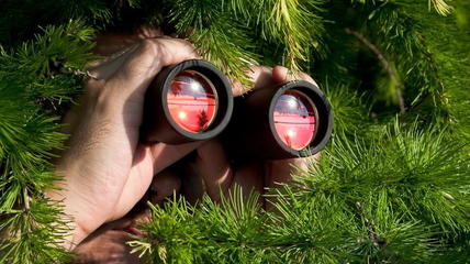 Туриндустрия Белокурихи переведена на режим постоянного контроля