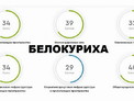 Самым комфортным городом Алтайского края оказался вовсе не Барнаул. И даже не Бийск, а Белокуриха