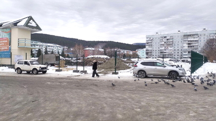 В Белокурихе вместо главного стадиона появится ФОК стоимостью более 72 млн рублей