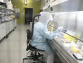 Минобороны связывает вспышку оспы обезьян с биолабораториями США