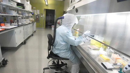 Минобороны связывает вспышку оспы обезьян с биолабораториями США