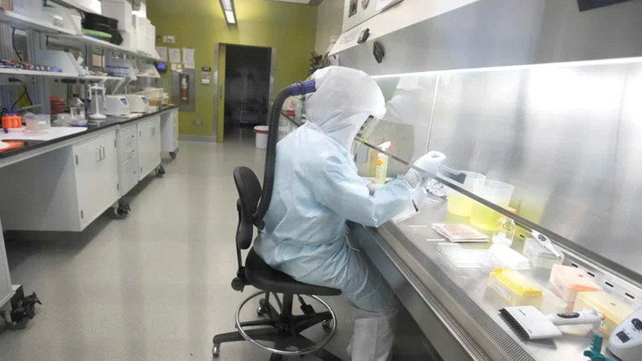 Минобороны связывает вспышку оспы обезьян с биолабораториями США