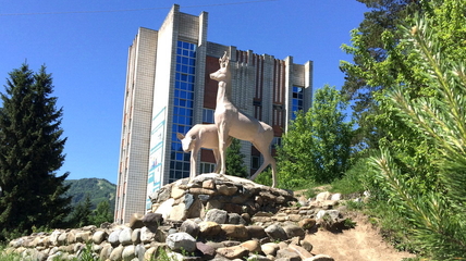 В Белокурихе обновят «Оленей» и сделают вокруг них смотровую площадку