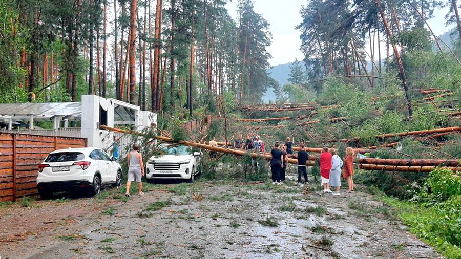 Ураган в Горном Алтае повалил сотни деревьев, некоторые из которых упали на автомобили (видео)
