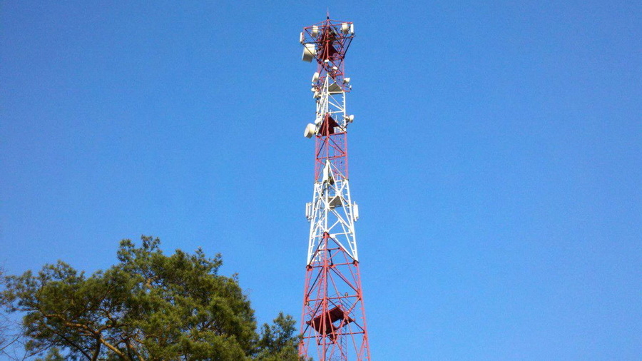 На Алтае начали вербовать подростков для возможных терактов на территории региона