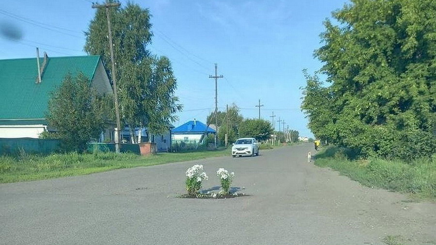 В одном из алтайских городов в яму на дороге посадили цветы
