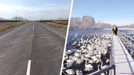 Доехать до лебединого озера стало ещё чуть-чуть комфортнее