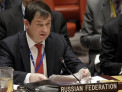 Полянский заявил, что история украинской бабушки со Знаменем Победы вызвала резонанс в ООН