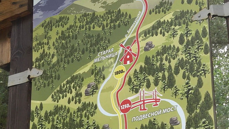 Терренкуры в Белокурихе ждёт масштабное благоустройство