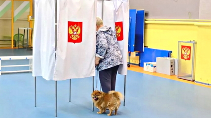 Более 1 миллиона 200 тысяч избирателей Алтайского края не пошли на выборы губернатора