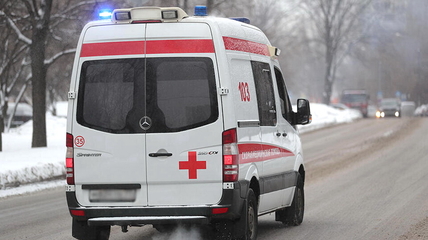 В Алтайском крае пьяные рыбаки задушили друга, пытаясь его спасти