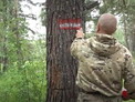 В Предгорье Алтая совершенствуют сеть экотроп в рамках специальной краевой программы