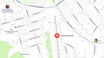 Новый случай бешенства зафиксировали в Белокурихе