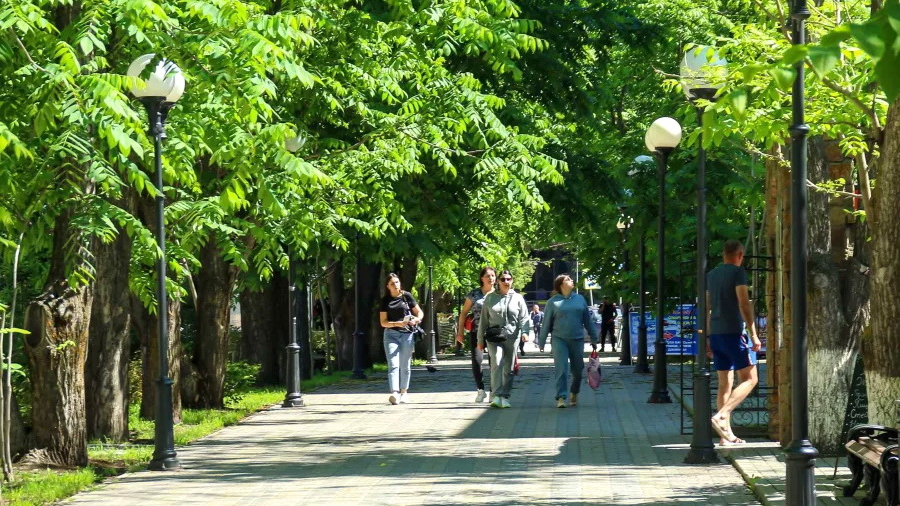 Крупные бизнес-игроки Белокурихи создали фонд развития города, его возглавил Трофимов