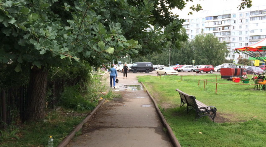 Кустарник, который мешал ходить, вырубили