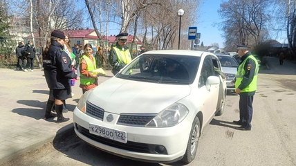 Госавтоинспекция провела акцию «Родительский патруль» и напомнила родителям о безопасности