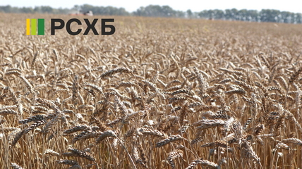 РСХБ: 13 млрд рублей направлено на финансирование сезонных работ на Алтае