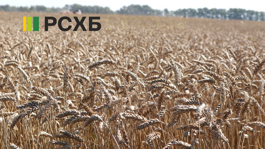 РСХБ: 13 млрд рублей направлено на финансирование сезонных работ на Алтае