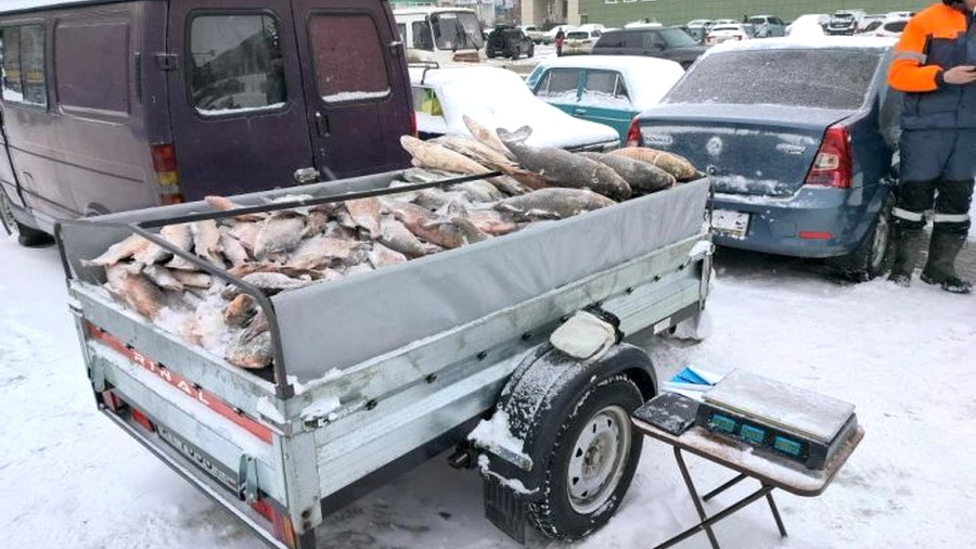 В Алтайском крае хотят в два раза увеличить штрафы за нелегальную уличную торговлю