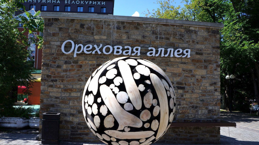 На курорте Белокурихи установили необычный арт-объект из дерева