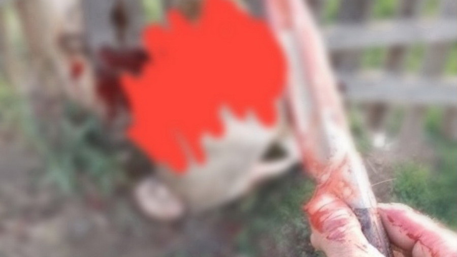 В Алтайском крае на живодёра, который съел собаку, завели уголовное дело